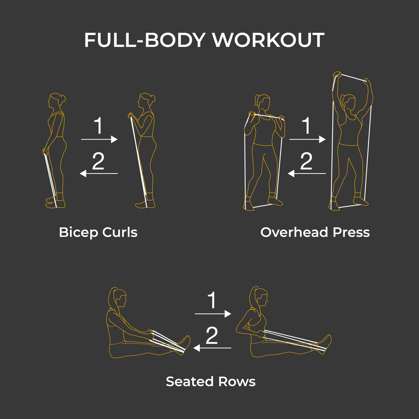 Ultra Toning & Flexibility Bundle by Maji Sports